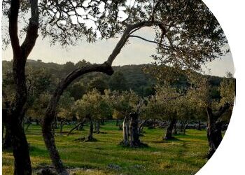 Terenska nastava Eko grupe