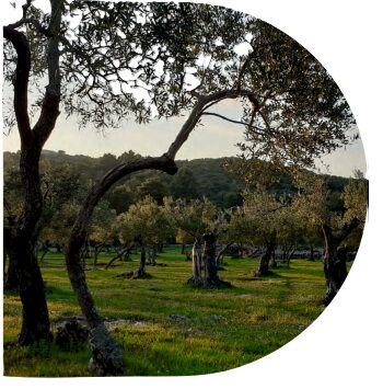 Terenska nastava Eko grupe