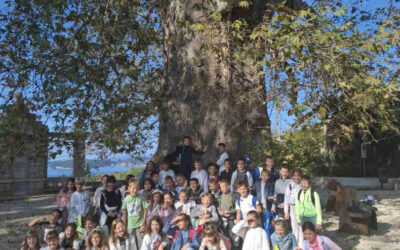 Terenska nastava učenika 2. razreda