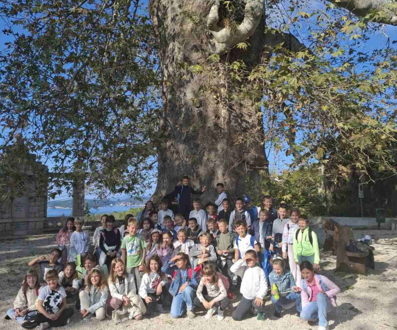 Terenska nastava učenika 2. razreda