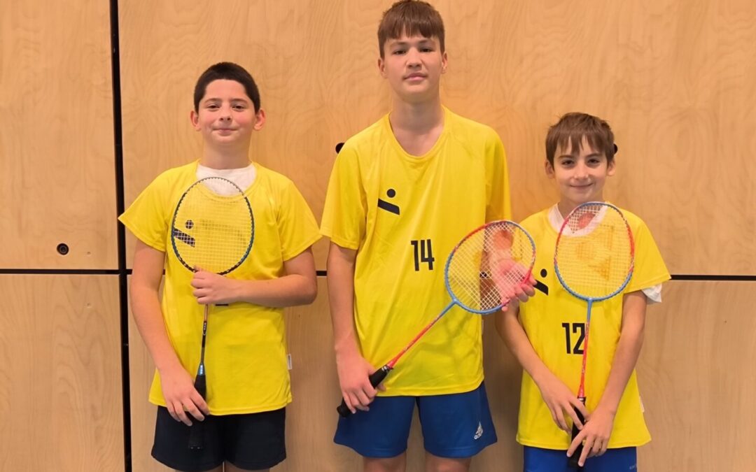 Županijsko natjecanje u badmintona