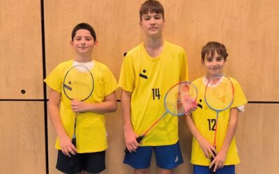 Županijsko natjecanje u badmintona