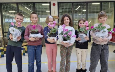 Humanitarna prodaja ciklama