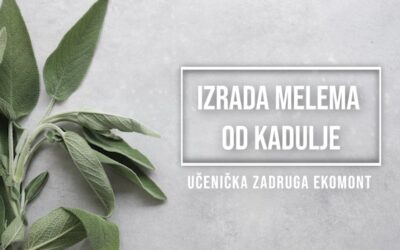 Izrada melem od kadulje (VIDEO)